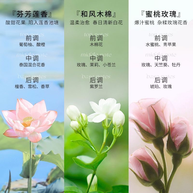 泰国芝芙莲专用女生洗衣液去血渍抑菌持久清香内衣裤清洗液【500ml/瓶*1瓶】