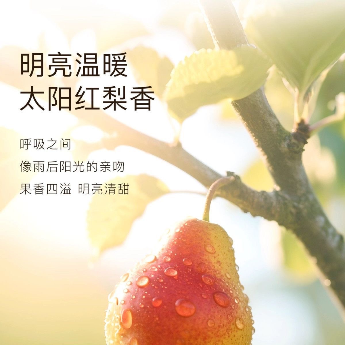 KIMTRUE且初护发精油清爽柔顺卷烫染蓬松发油防毛躁