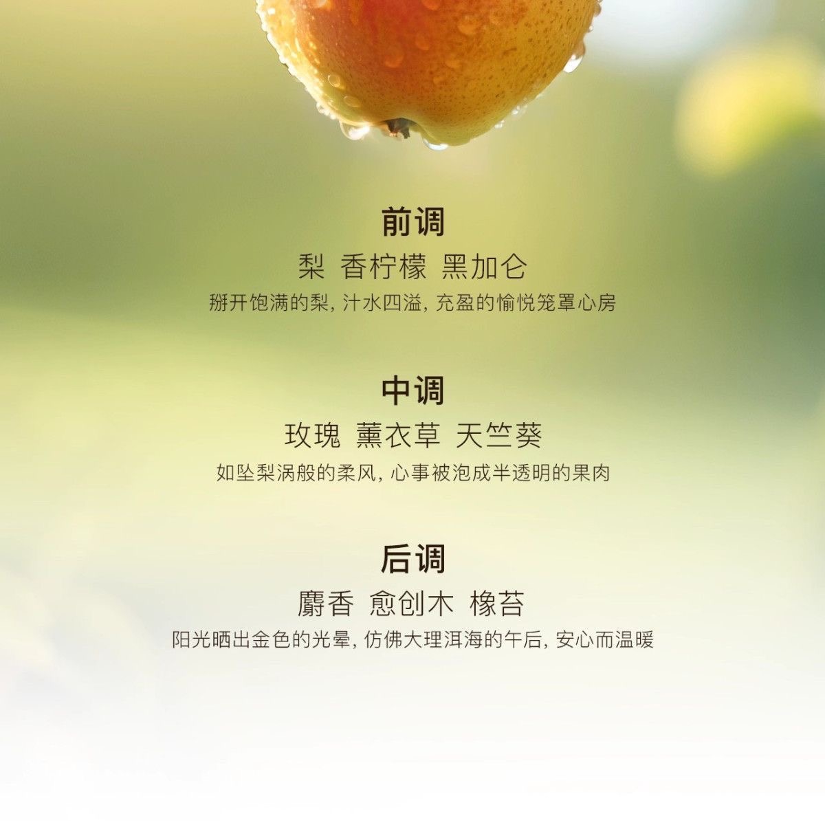 KIMTRUE且初护发精油清爽柔顺卷烫染蓬松发油防毛躁